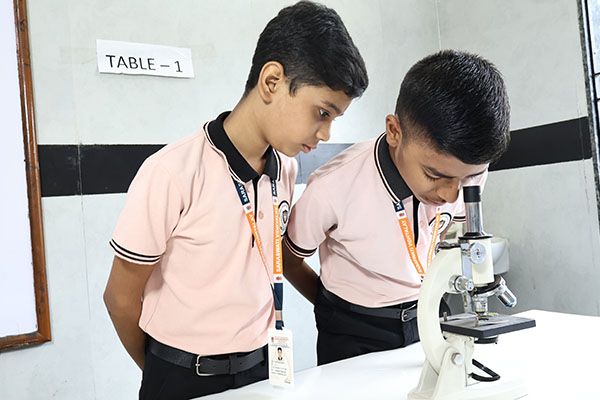 Composite Lab